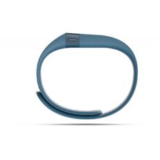 Fitbit Charge Review - To buy or not in 2023 - StripeFit